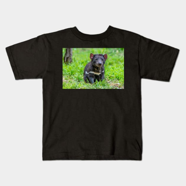 Tasmanian Devil watching Kids T-Shirt by kathiemt